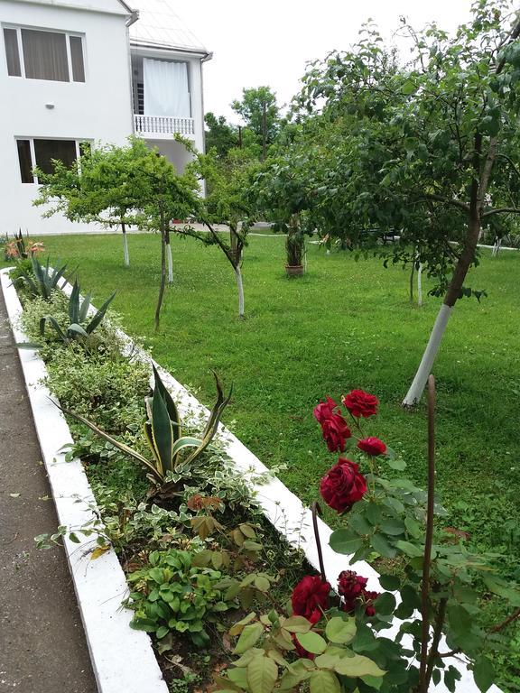 Гостевой дом Sweet Home Near Black Sea Кобулети Экстерьер фото